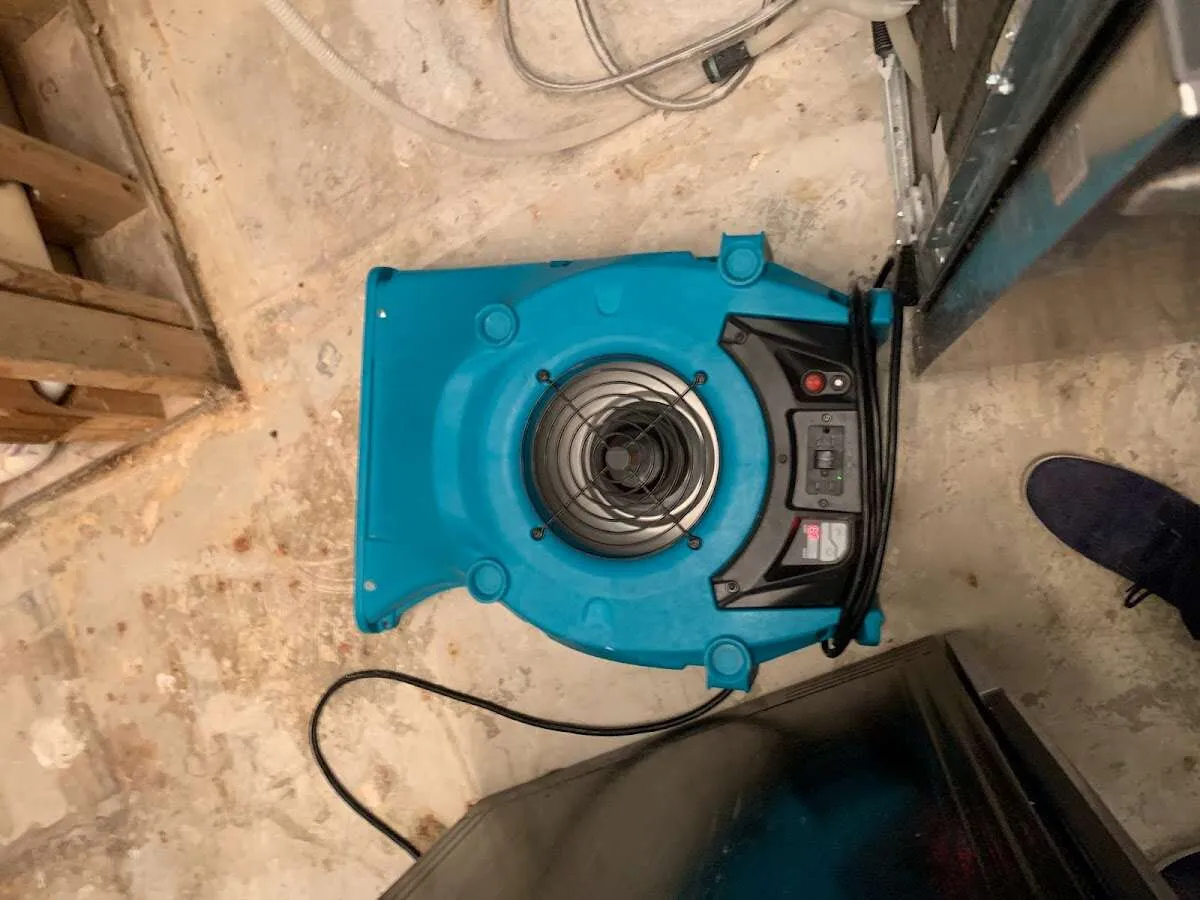 Air mover drying equipment for Mold Remediation & Removal in Kingsland